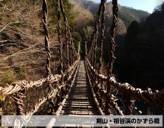 剣山・祖谷渓のかずら橋